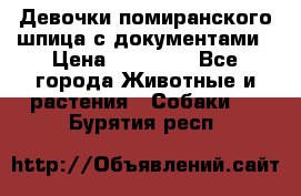 Девочки помиранского шпица с документами › Цена ­ 23 000 - Все города Животные и растения » Собаки   . Бурятия респ.